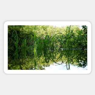 Grass Reflecting in the Water Sticker